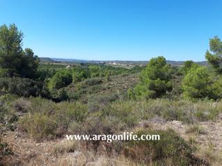 Finca rústica a Fabara. Sitio espectacular para iniciar una nueva vida por poco dinero Finca rústica a Fabara. Sitio espectacular para iniciar una nueva vida por poco dinero
