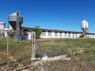 Industrial building in Fabara. Granja en fabara. 2 naves de 382m2 cada una. 47.000€ Industrial building in Fabara. Granja en fabara. 2 naves de 382m2 cada una. 47.000€