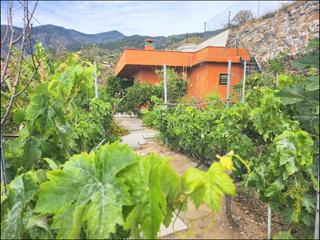 Masia Calle morro blanco Masia Calle morro blanco