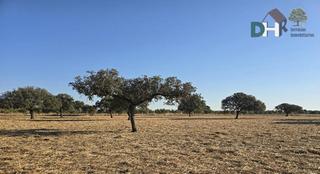 Residential Plot in Dehesilla de Calamón - Campomanes. Badajozterreno Residential Plot in Dehesilla de Calamón - Campomanes. Badajozterreno