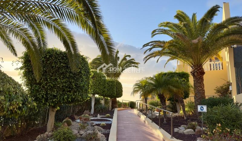 Foto 13ad957f-c2fc-4ecf-bf7a-3b1bc460ab13. Piso dom tenerife inmobiliaria se complace en presentarle en exclusiva este magnífico piso de 1 dormitorio con impresionantes vistas al en Adeje Foto 13ad957f-c2fc-4ecf-bf7a-3b1bc460ab13. Piso dom tenerife inmobiliaria se complace en presentarle en exclusiva este magnífico piso de 1 dormitorio con impresionantes vistas al en Adeje