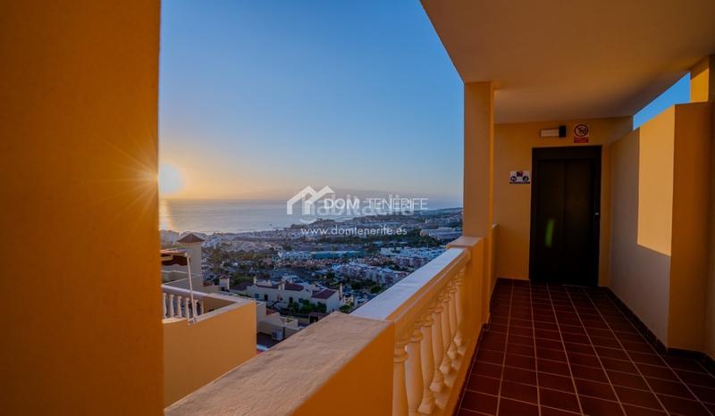 Foto c100875b-916e-4cb1-b083-d4a4fde99337. Piso dom tenerife inmobiliaria se complace en presentarle en exclusiva este magnífico piso de 1 dormitorio con impresionantes vistas al en Adeje Foto c100875b-916e-4cb1-b083-d4a4fde99337. Piso dom tenerife inmobiliaria se complace en presentarle en exclusiva este magnífico piso de 1 dormitorio con impresionantes vistas al en Adeje