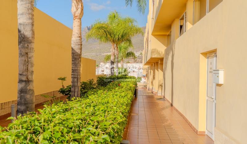 Foto cd1b3bc4-429a-4a06-8db1-8c988c703352. Piso dom tenerife inmobiliaria se complace en presentarle en exclusiva este magnífico piso de 1 dormitorio con impresionantes vistas al en Adeje Foto cd1b3bc4-429a-4a06-8db1-8c988c703352. Piso dom tenerife inmobiliaria se complace en presentarle en exclusiva este magnífico piso de 1 dormitorio con impresionantes vistas al en Adeje