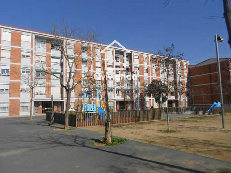 Foto 2afecbf0-59b8-4239-a00c-e639db0ea715. Pis a Can Rull Sabadell Foto 2afecbf0-59b8-4239-a00c-e639db0ea715. Pis a Can Rull Sabadell