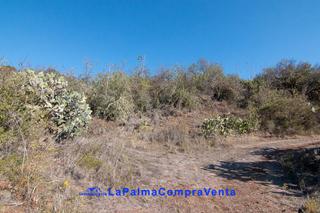 Propriété à Camino del cementerio 99. Id-568 terreno con acceso rodado y en muy buena zona de puntagor Propriété à Camino del cementerio 99. Id-568 terreno con acceso rodado y en muy buena zona de puntagor