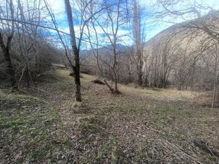 Terreny residencial Farrera - obaga. Se vende terreno agrícola de 12.347m2 en farrerra Terreny residencial Farrera - obaga. Se vende terreno agrícola de 12.347m2 en farrerra