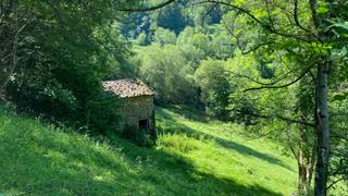 Finca rústica Priesca. Venta de cuadraestablo de piedra en finca rústica de 4.934 m2 en Finca rústica Priesca. Venta de cuadraestablo de piedra en finca rústica de 4.934 m2 en