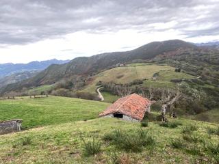 Finca rústica Següenco. Venta de cuadra y cabaña de piedra en finca de 10.880 m2 con vis Finca rústica Següenco. Venta de cuadra y cabaña de piedra en finca de 10.880 m2 con vis