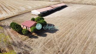 Lloguer Nau industrial a Abades. Nave agrícola en alquiler en abades. Lloguer Nau industrial a Abades. Nave agrícola en alquiler en abades.