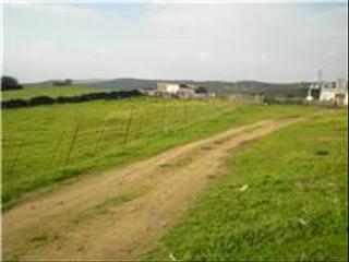 Finca rústica a A-5301 7. Finca rúst. en venta en el real de la jara. Finca rústica a A-5301 7. Finca rúst. en venta en el real de la jara.