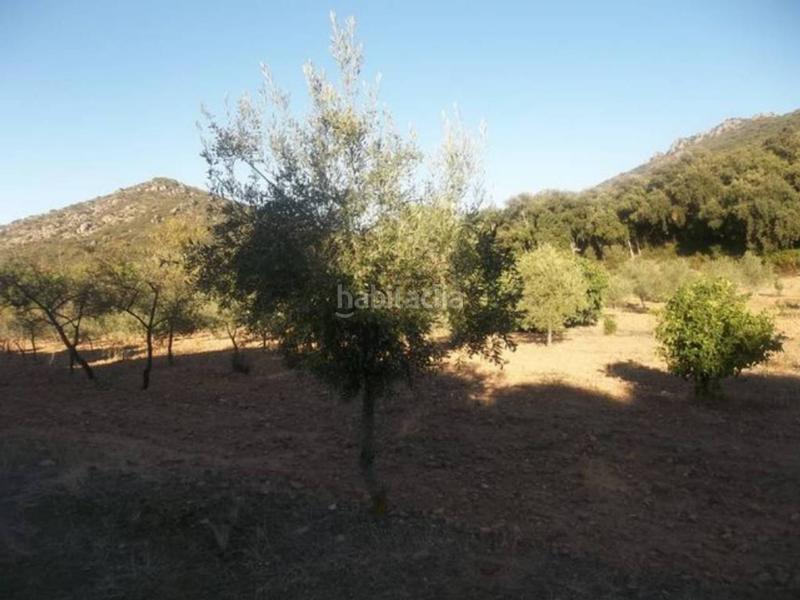 Foto 122e9a35-a5d6-4ef5-8132-c92af1055a3d. Finca rústica finca en venta en Navalvillar de Pela Foto 122e9a35-a5d6-4ef5-8132-c92af1055a3d. Finca rústica finca en venta en Navalvillar de Pela