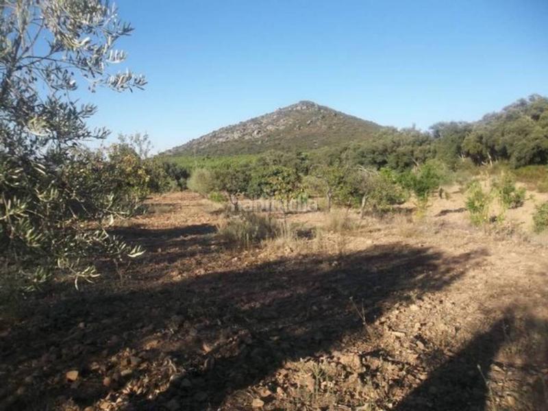 Foto 158b199a-fb5d-415d-8fdb-5f4cfe490b89. Finca rústica finca en venta en Navalvillar de Pela Foto 158b199a-fb5d-415d-8fdb-5f4cfe490b89. Finca rústica finca en venta en Navalvillar de Pela