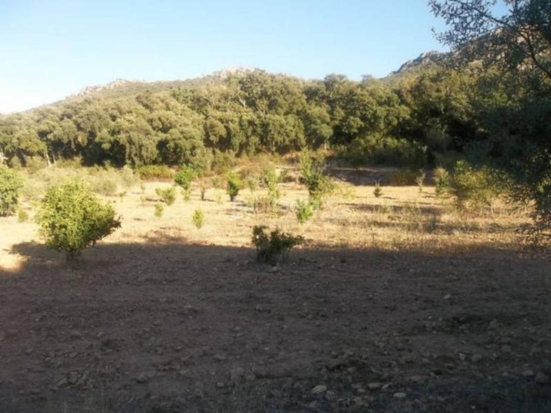 Foto 63916501-e537-4c57-98e9-9e8db9bdb153. Finca rústica finca en venta en Navalvillar de Pela Foto 63916501-e537-4c57-98e9-9e8db9bdb153. Finca rústica finca en venta en Navalvillar de Pela