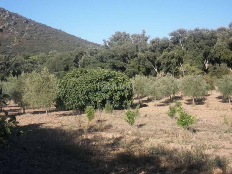 Foto 67321989-e0a8-4aa3-8b00-e9c8503ac164. Finca rústica finca en venta en Navalvillar de Pela Foto 67321989-e0a8-4aa3-8b00-e9c8503ac164. Finca rústica finca en venta en Navalvillar de Pela