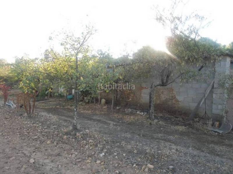 Foto 6793cd13-4b1b-4e92-8dc0-3f0930f286e4. Finca rústica finca en venta en Navalvillar de Pela Foto 6793cd13-4b1b-4e92-8dc0-3f0930f286e4. Finca rústica finca en venta en Navalvillar de Pela