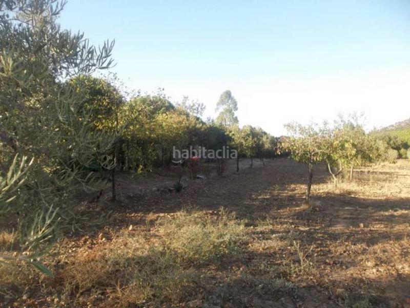 Foto d3047f75-821a-41b7-b803-7c693adb4b84. Finca rústica finca en venta en Navalvillar de Pela Foto d3047f75-821a-41b7-b803-7c693adb4b84. Finca rústica finca en venta en Navalvillar de Pela