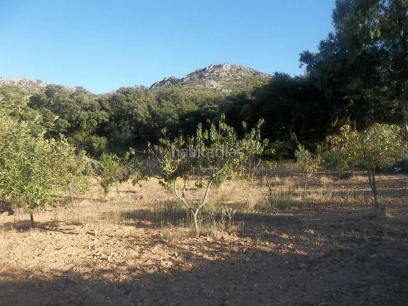 Foto d78246bc-815c-4e35-b070-19308d214405. Finca rústica finca en venta en Navalvillar de Pela Foto d78246bc-815c-4e35-b070-19308d214405. Finca rústica finca en venta en Navalvillar de Pela