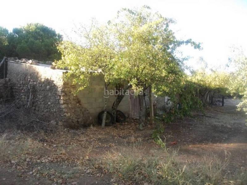 Foto f3a61fab-aa6b-4f5b-a254-20bd596dff24. Finca rústica finca en venta en Navalvillar de Pela Foto f3a61fab-aa6b-4f5b-a254-20bd596dff24. Finca rústica finca en venta en Navalvillar de Pela