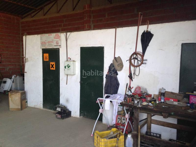 Foto 39d7bd65-578f-4379-9a12-5fcbf68a3bee. Finca rústica finca en venta en Villar de Rena Foto 39d7bd65-578f-4379-9a12-5fcbf68a3bee. Finca rústica finca en venta en Villar de Rena