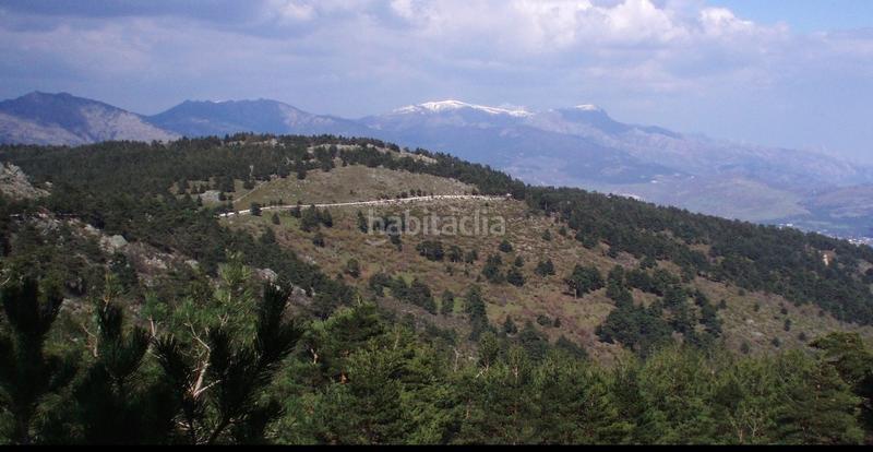 Foto e39ff668-6b30-46f9-9a1f-0890888362b7. Terreno residencial magnifica parcela alpedrete en Collado Mediano Foto e39ff668-6b30-46f9-9a1f-0890888362b7. Terreno residencial magnifica parcela alpedrete en Collado Mediano