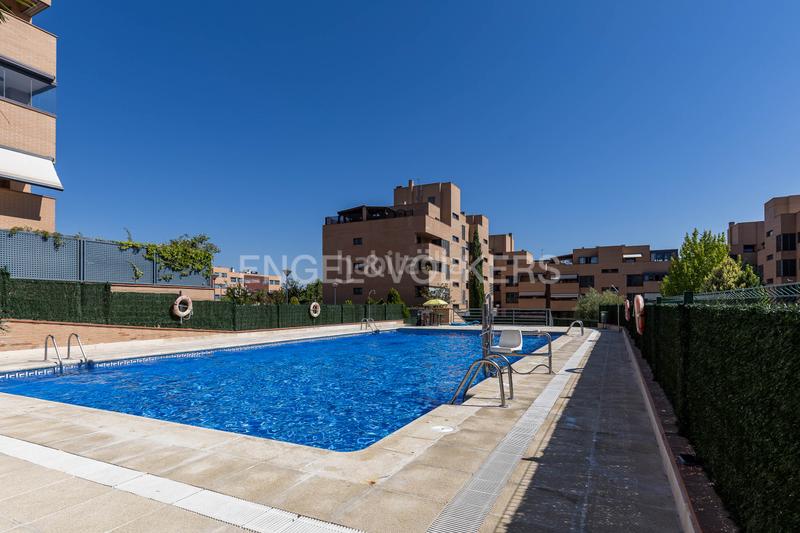 Foto 6d4cad2f-05cf-42f0-962a-de8b12fc98a8. Piccolo appartamento con riscaldamento parcheggio piscina in San Sebastián de los Reyes Foto 6d4cad2f-05cf-42f0-962a-de8b12fc98a8. Piccolo appartamento con riscaldamento parcheggio piscina in San Sebastián de los Reyes
