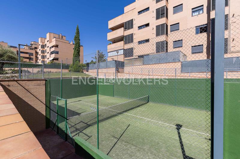 Foto 82d18348-808c-4429-b1f2-22925fff5f12. Piccolo appartamento con riscaldamento parcheggio piscina in San Sebastián de los Reyes Foto 82d18348-808c-4429-b1f2-22925fff5f12. Piccolo appartamento con riscaldamento parcheggio piscina in San Sebastián de los Reyes