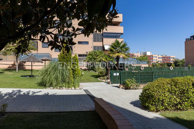Foto ec992cde-1ff0-47d8-b327-ca4b492925b2. Piccolo appartamento con riscaldamento parcheggio piscina in San Sebastián de los Reyes Foto ec992cde-1ff0-47d8-b327-ca4b492925b2. Piccolo appartamento con riscaldamento parcheggio piscina in San Sebastián de los Reyes