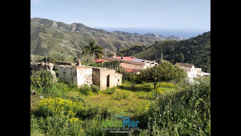 Foto 4bc1ae59-e0c4-4087-9fca-d9307ad6bbf5. Fondo rustico in El Rescate - Río Seco Almuñécar Foto 4bc1ae59-e0c4-4087-9fca-d9307ad6bbf5. Fondo rustico in El Rescate - Río Seco Almuñécar