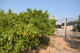 Residential Plot in S´Estanyol. Solar urbano en venta en son daviu nou marratxí. Residential Plot in S´Estanyol. Solar urbano en venta en son daviu nou marratxí.