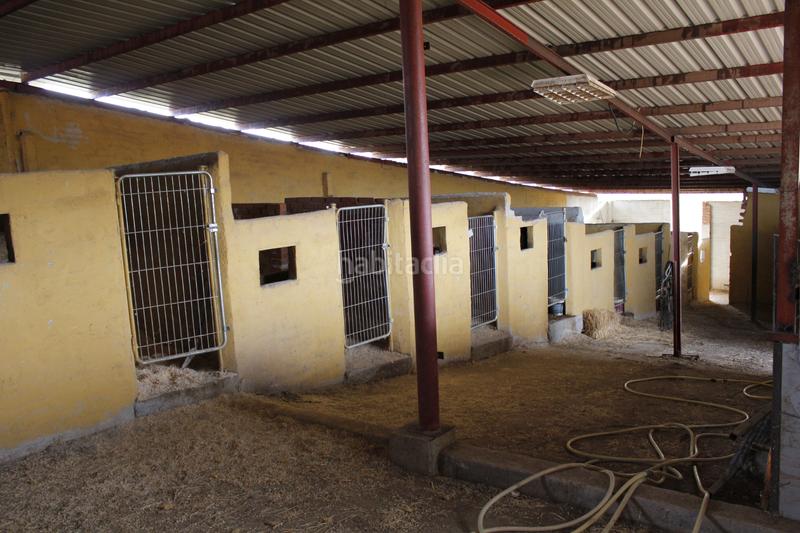 Foto 1446be3f-827e-4bae-8415-cf0a5eb0f4dd. Finca rústica a Coslada pueblo Coslada Foto 1446be3f-827e-4bae-8415-cf0a5eb0f4dd. Finca rústica a Coslada pueblo Coslada