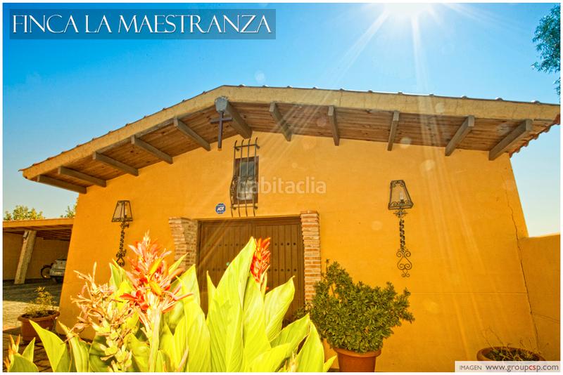 Foto 34544cef-a0dd-4b2d-abf9-e6442caec448. Finca rústica a Coslada pueblo Coslada Foto 34544cef-a0dd-4b2d-abf9-e6442caec448. Finca rústica a Coslada pueblo Coslada