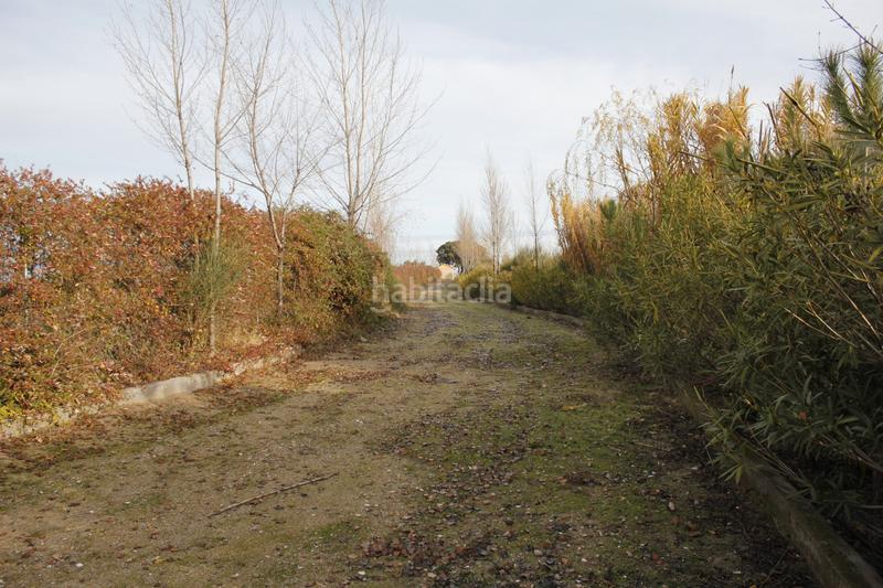 Foto 4158f7de-70c6-4bf2-8b61-b6054f3a3129. Finca rústica a Coslada pueblo Coslada Foto 4158f7de-70c6-4bf2-8b61-b6054f3a3129. Finca rústica a Coslada pueblo Coslada