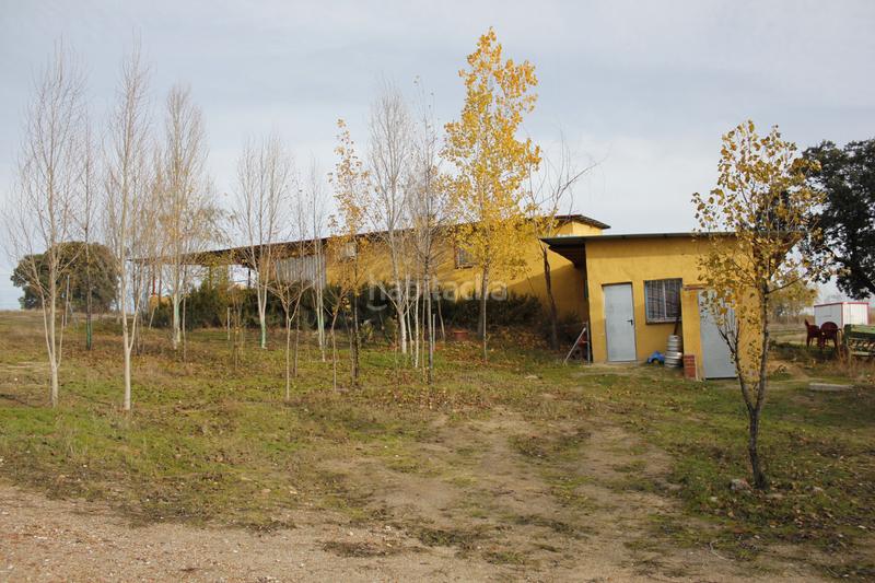 Foto 4aa67c9e-cdc8-43c9-9a17-b87711871f5d. Finca rústica a Coslada pueblo Coslada Foto 4aa67c9e-cdc8-43c9-9a17-b87711871f5d. Finca rústica a Coslada pueblo Coslada