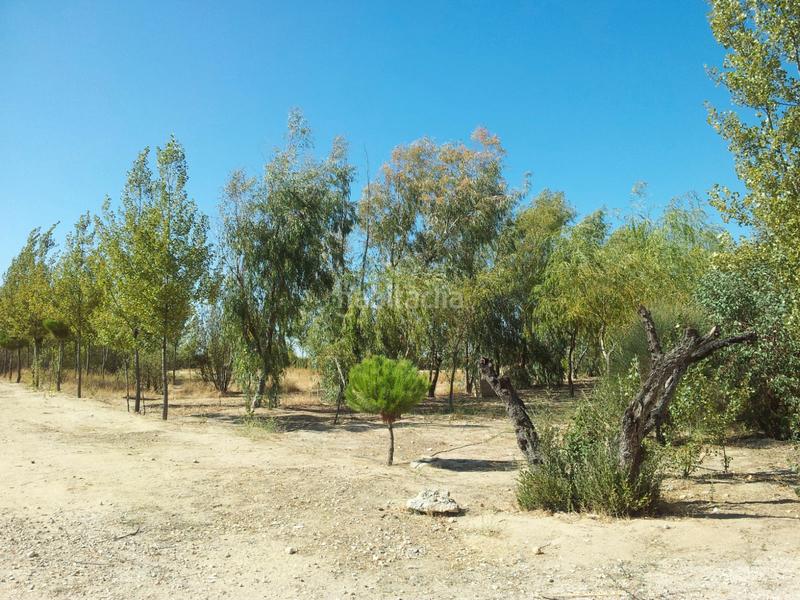 Foto 75481749-5952-4393-8a5e-1e6b2b2b1696. Finca rústica a Coslada pueblo Coslada Foto 75481749-5952-4393-8a5e-1e6b2b2b1696. Finca rústica a Coslada pueblo Coslada