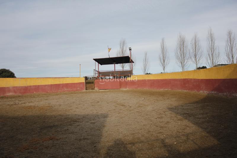 Foto 83d2c0d4-7b87-4c4d-8ce8-41e06dd85fd5. Finca rústica a Coslada pueblo Coslada Foto 83d2c0d4-7b87-4c4d-8ce8-41e06dd85fd5. Finca rústica a Coslada pueblo Coslada