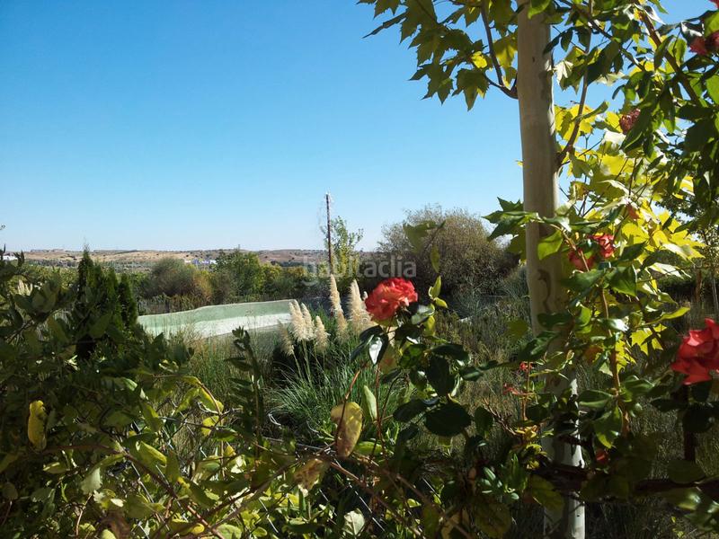 Foto b3c93018-410d-490e-863f-f7de7abb02ee. Finca rústica a Coslada pueblo Coslada Foto b3c93018-410d-490e-863f-f7de7abb02ee. Finca rústica a Coslada pueblo Coslada