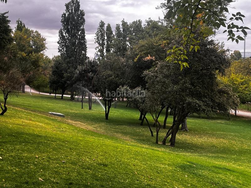 Foto bba6c042-c47b-4be2-9425-9f59444e0773. Àtic amb calefacció aparcament a primera fase-nuevo Tres Cantos Tres Cantos Foto bba6c042-c47b-4be2-9425-9f59444e0773. Àtic amb calefacció aparcament a primera fase-nuevo Tres Cantos Tres Cantos