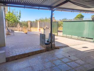 Maison  Algoda. Campo con más de 12.000 m, casa de invitados y ascensor en elche Maison  Algoda. Campo con más de 12.000 m, casa de invitados y ascensor en elche