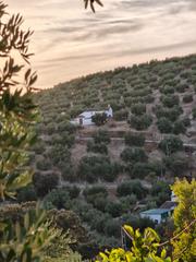 Casale  Cierzos y cabreras. Cortijo tradicional con encanto junto al pantano de iznájar  arr Casale  Cierzos y cabreras. Cortijo tradicional con encanto junto al pantano de iznájar  arr
