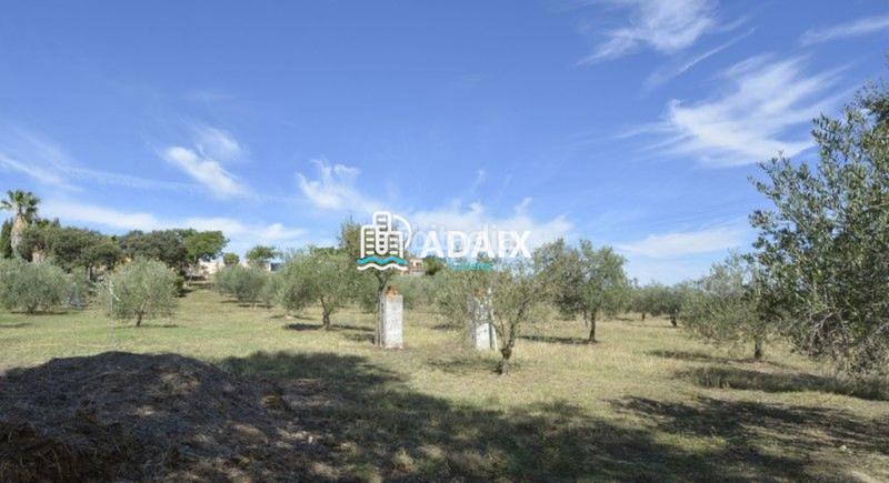 Foto 0469b08c-edf3-4185-a51a-4f880adce915. Xalet amb aparcament piscina a Montesol - Mejostilla Cáceres Foto 0469b08c-edf3-4185-a51a-4f880adce915. Xalet amb aparcament piscina a Montesol - Mejostilla Cáceres