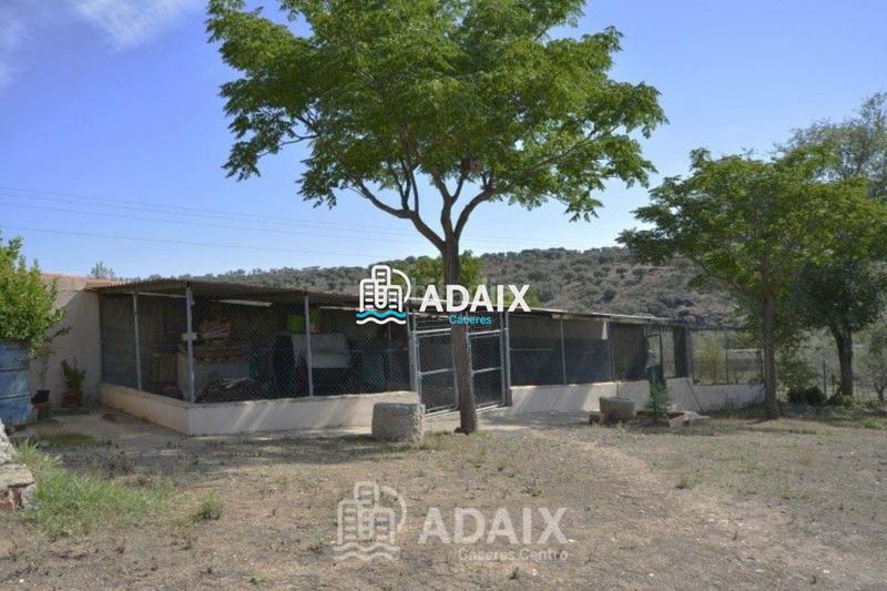 Foto 452b2b65-98ed-4b4a-a1f9-125edab68073. Xalet amb aparcament piscina a Montesol - Mejostilla Cáceres Foto 452b2b65-98ed-4b4a-a1f9-125edab68073. Xalet amb aparcament piscina a Montesol - Mejostilla Cáceres