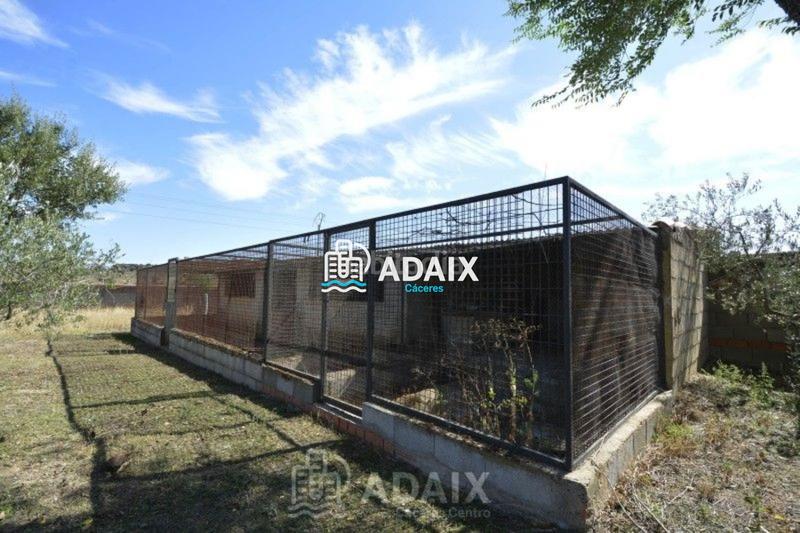 Foto d35dac19-cf55-4b23-a98f-3060a4a7e78d. Xalet amb aparcament piscina a Montesol - Mejostilla Cáceres Foto d35dac19-cf55-4b23-a98f-3060a4a7e78d. Xalet amb aparcament piscina a Montesol - Mejostilla Cáceres