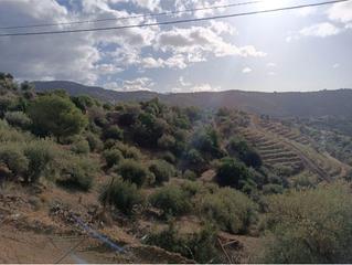 Rural plot  Camino camino de cuesta bravo. Espectacular terreno en velezmàlaga. Rural plot  Camino camino de cuesta bravo. Espectacular terreno en velezmàlaga.