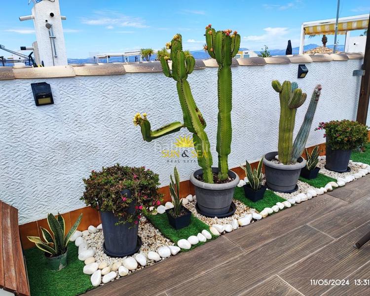 Foto da54daea-30ba-4955-8c39-4406b27ba103. Rent penthouse with heating pool in Monte Faro-Altomar II Santa Pola Foto da54daea-30ba-4955-8c39-4406b27ba103. Rent penthouse with heating pool in Monte Faro-Altomar II Santa Pola