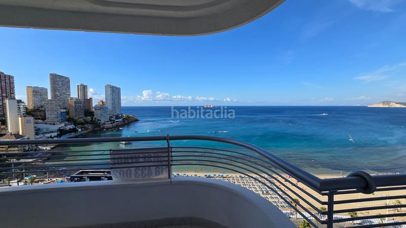 Foto a71614e4-bbf5-4e94-86b0-3d7490ebbf19. Piccolo appartamento in Playa Levante Benidorm Foto a71614e4-bbf5-4e94-86b0-3d7490ebbf19. Piccolo appartamento in Playa Levante Benidorm