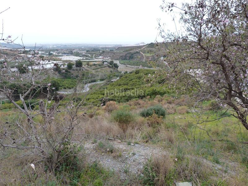 Foto b3f2cecb-f51f-4f07-8425-065379fc84f0. Finca rústica a Centro Salobreña Foto b3f2cecb-f51f-4f07-8425-065379fc84f0. Finca rústica a Centro Salobreña