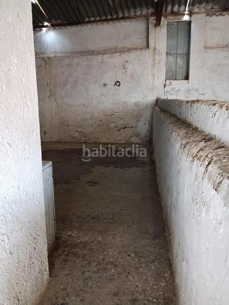 Foto 69d16b74-211b-4522-ad3b-1019065d5af8. Casa en Guadahortuna Foto 69d16b74-211b-4522-ad3b-1019065d5af8. Casa en Guadahortuna