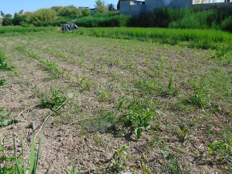 Foto 0209fad9-1eb4-47b2-a296-b4a162b29657. Fondo rustico in Lorquí Foto 0209fad9-1eb4-47b2-a296-b4a162b29657. Fondo rustico in Lorquí