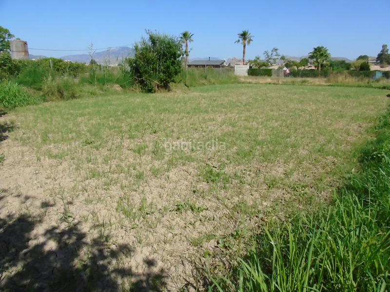 Foto 3ed87a1c-3777-4266-8e4f-a623863e5360. Fondo rustico in Lorquí Foto 3ed87a1c-3777-4266-8e4f-a623863e5360. Fondo rustico in Lorquí