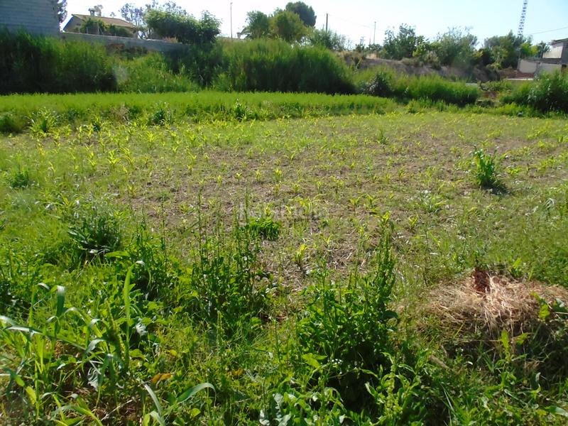 Foto 73ed13f6-7c3d-413e-8150-ec2949b09d1a. Fondo rustico in Lorquí Foto 73ed13f6-7c3d-413e-8150-ec2949b09d1a. Fondo rustico in Lorquí